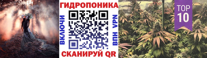 купить   Кувшиново  Конопля White Widow 
